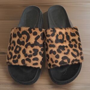 Aerosole Leila Leopard Slide Slipper Hard Sole New No Tags-Box Leather upper sz7